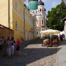 P1010504