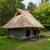 P1010528