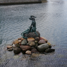 P1020412