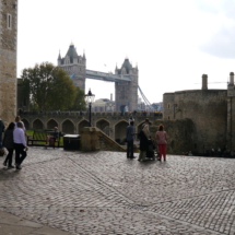P1030137