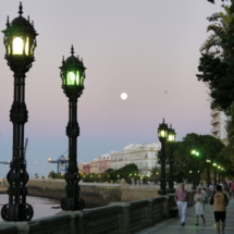P1030850