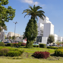 P1030861