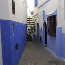 P1030889